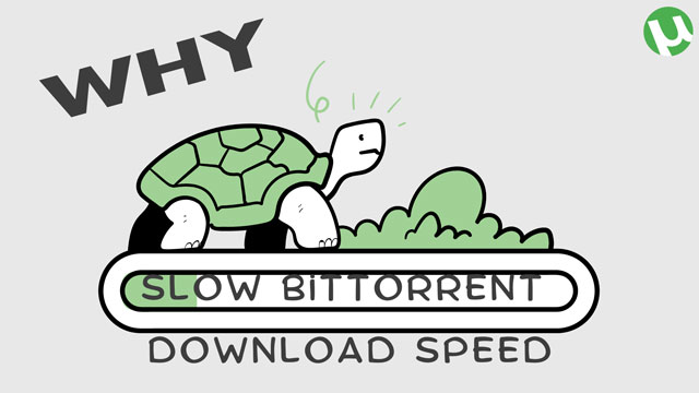 Why is BitTorrent download speed so slow?