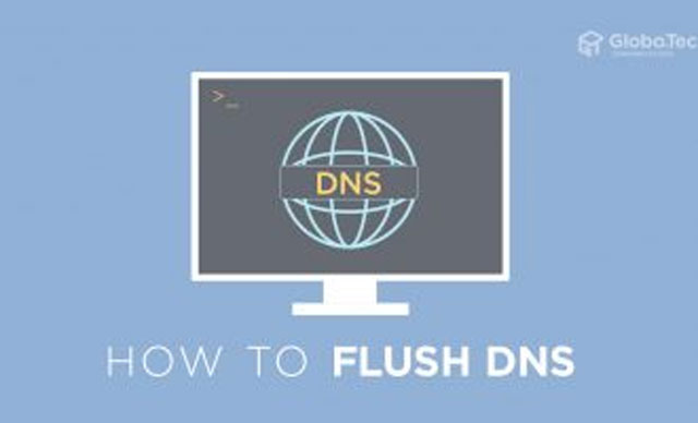 Flush the DNS cache
