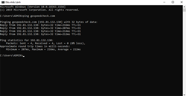 How to ping test