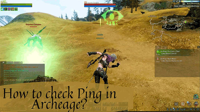 How to check ArcheAge ping? 