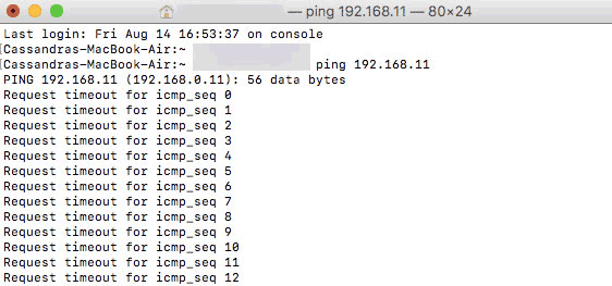 Ping results on the CMD command