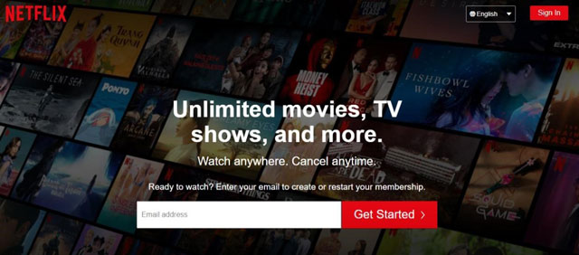 Visit Netflix on a browser