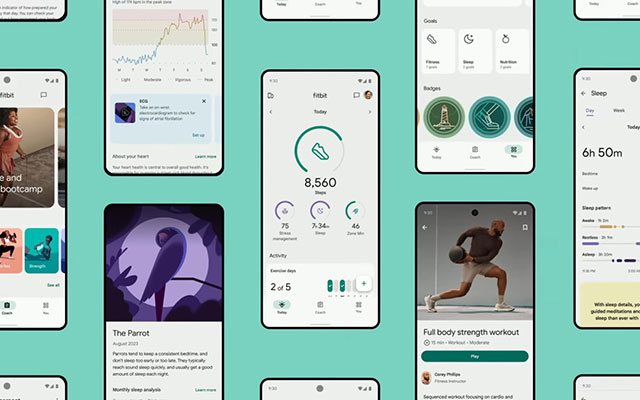 New Android Fitbit app adds a live wallpaper and a redesigned widget