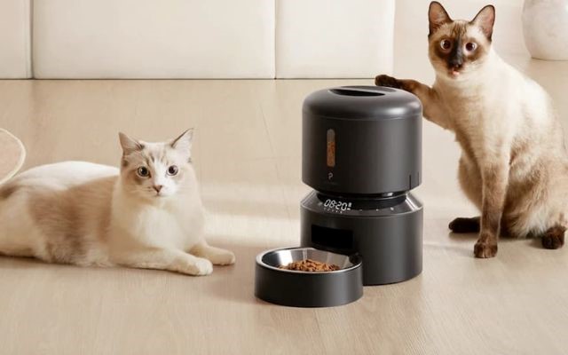 Automatic pet feeder - buying guide