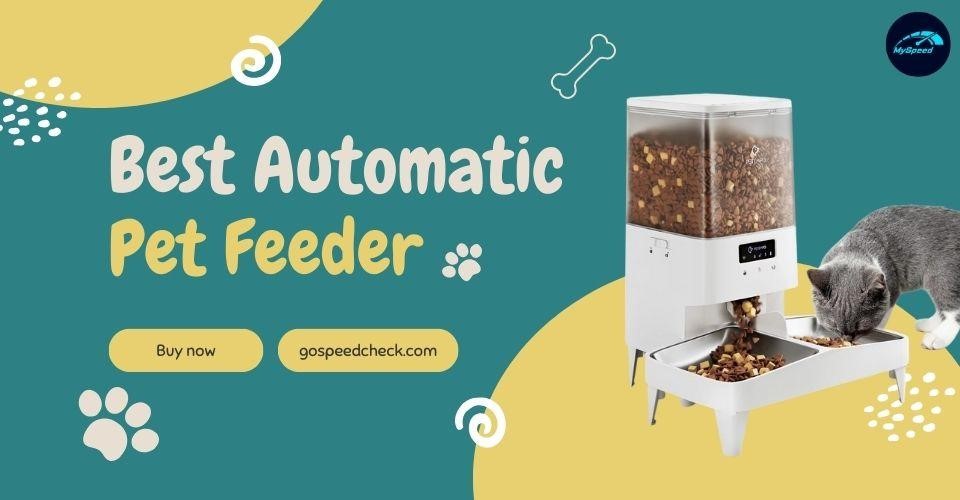 Best Automatic Pet Feeder 2024 to Keep Your Dogs & Cats Fed on Time