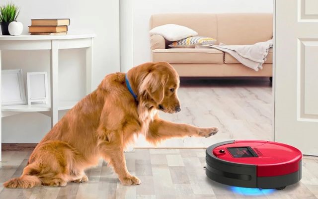 Robot vacuum - A buying guide