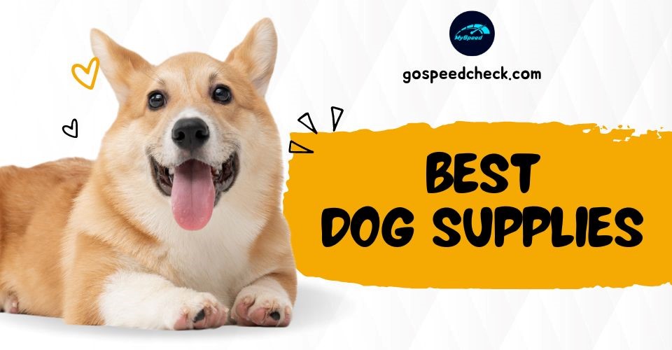 15+ Best Dog Supplies: Best Accessories & Tech Essentials for Your Dog