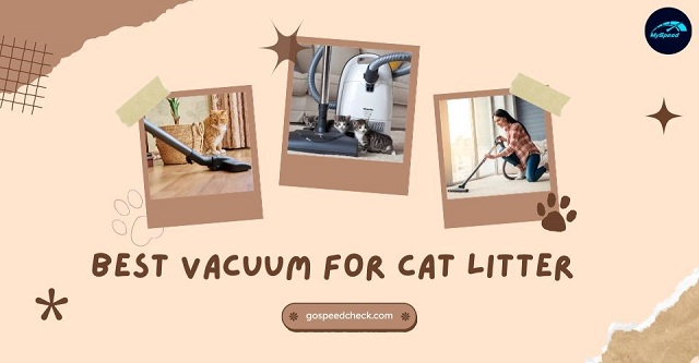 Best vacuums for cat litter