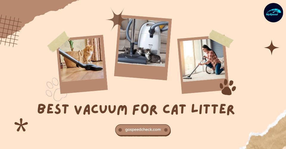 Best Vacuum for Cat Litter: Tips to Keep a House Clean with Cats