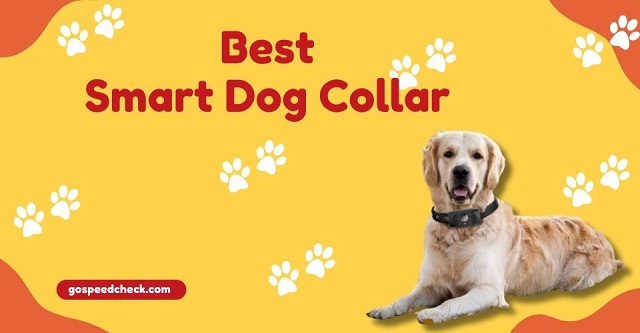 Best dog GPS collars