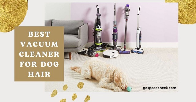 Best vacuum for dog hair