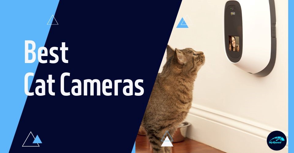 Best Pet Camera for Cats to Monitor Them 24/7: Top Picks of 2024