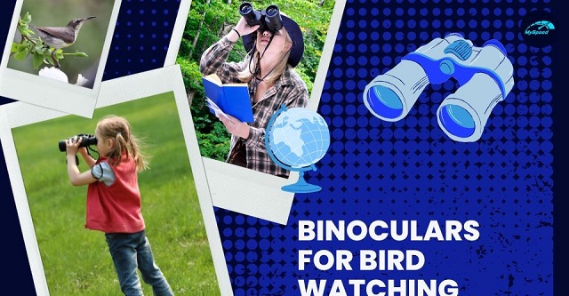Best binoculars to watch birds