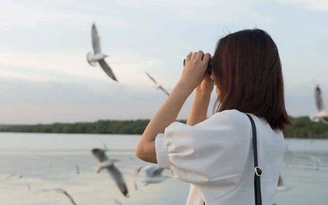 The best binoculars bird watching should not be too heavy