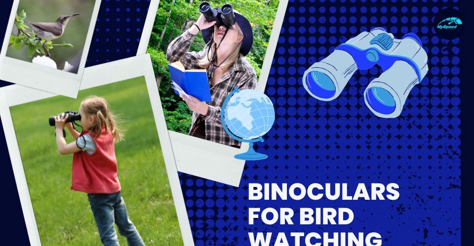 7 Best Binoculars for Bird Watching to Zoom In on Real Life | Easy Tips