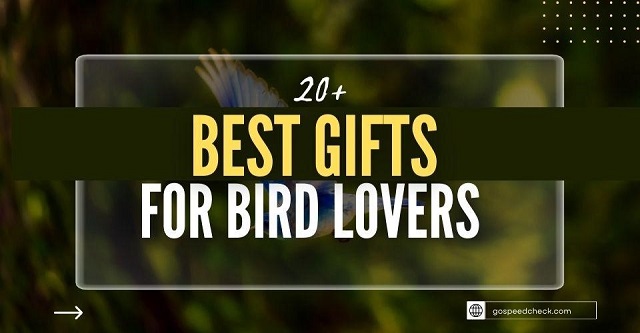 Best presents for bird lovers