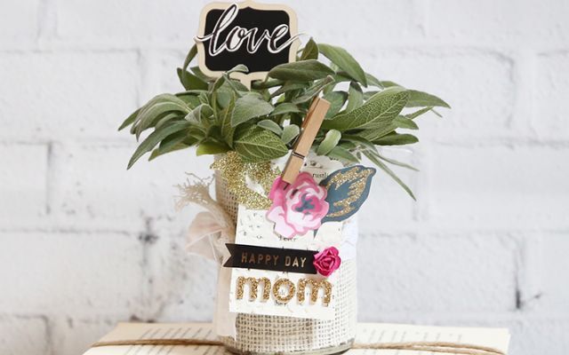 Benefits of plant ideas for Mother's Day