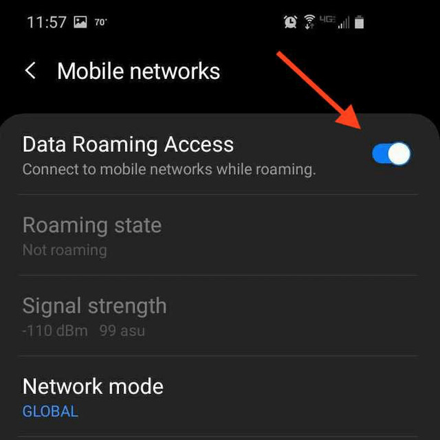 data roaming access
