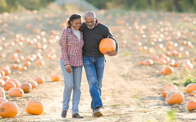 Visit a pumpkin patch