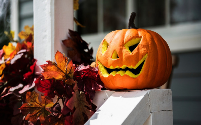 Tips to preserve carved pumpkin for Halloween