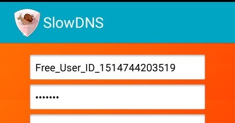 A DNS lookup